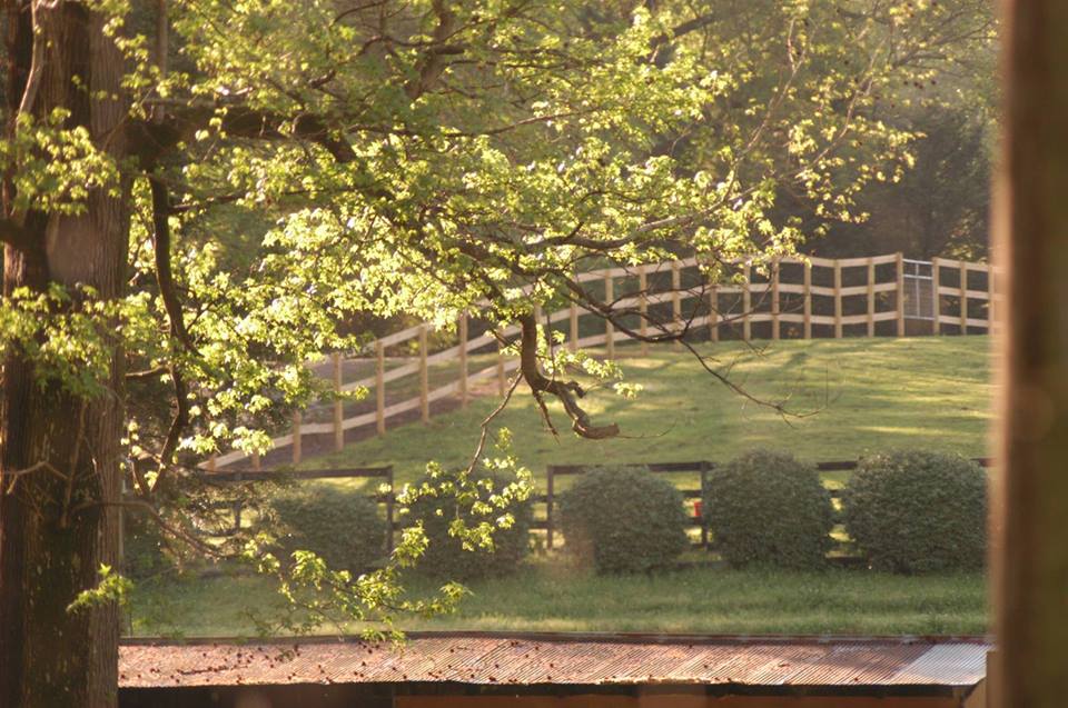 GKM Equestrian pastures